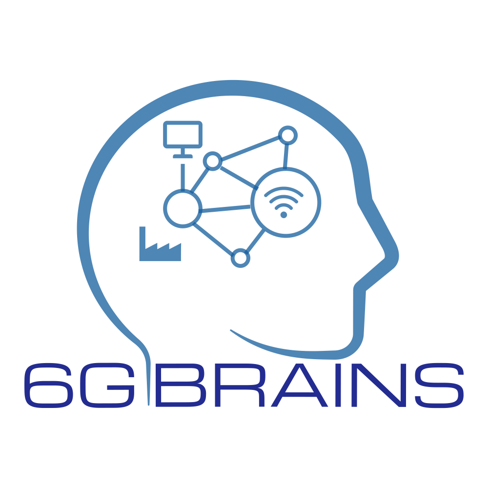 6G BRAINS